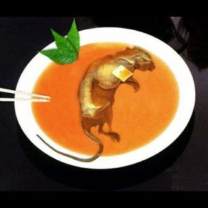 Meet your Posher, Jaden